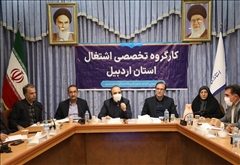 پرداخت کامل تسهیلات مشاغل خانگی تا اوایل بهمن انجام شود