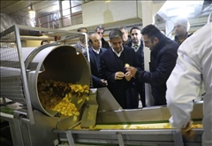 بازدید استاندار اردبیل از کارخانه فرآوری سیب‌زمینی